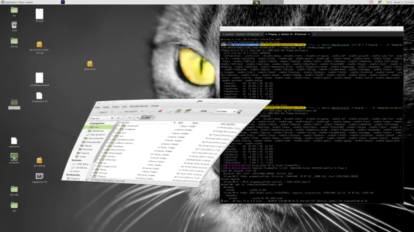 yserver screenshot demonstrating compiz comptibility
